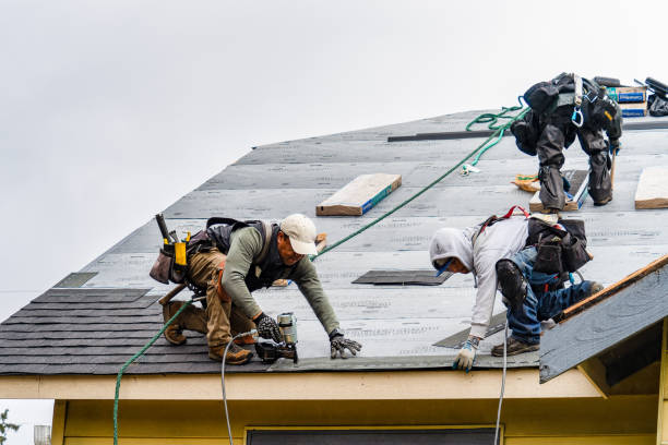Professional Gutter Installation technician working in Scotts Hill, TN